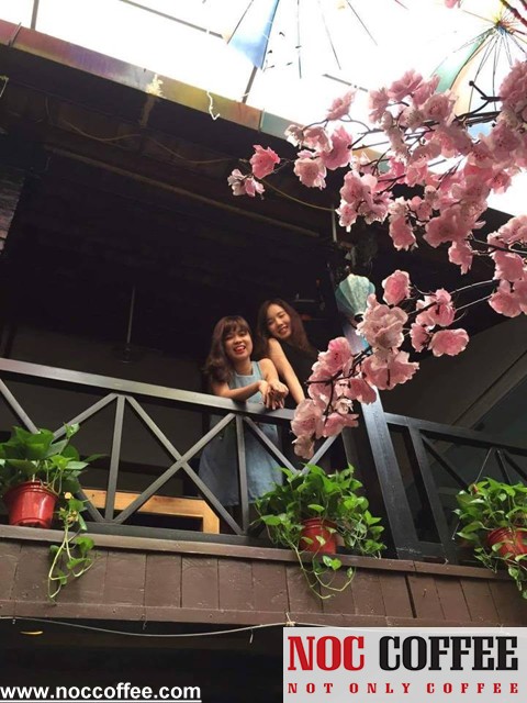 Những quán cafe đẹp nhất ở TP HCM