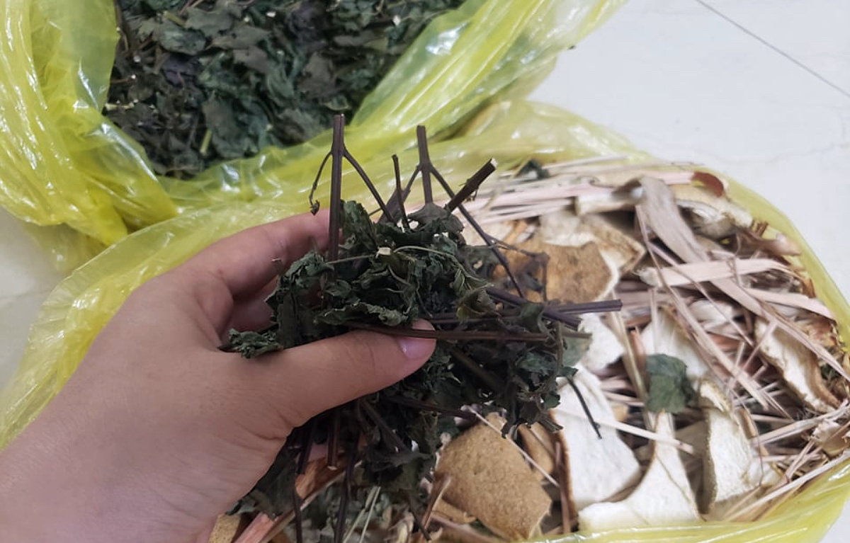 Set lá xông cảm cúm được nhiều người tìm mua