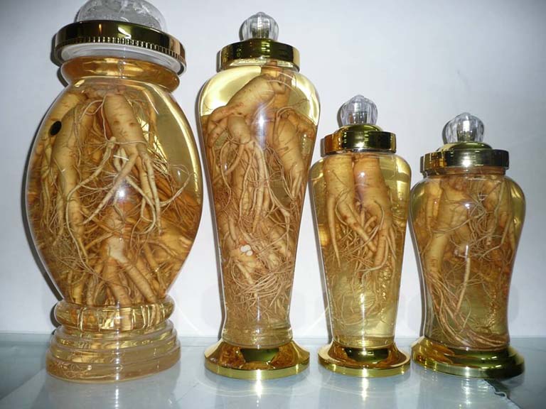 Vì sao nên sử dụng rượu đinh lăng?