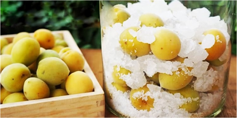 Cách bảo quản rượu mơ