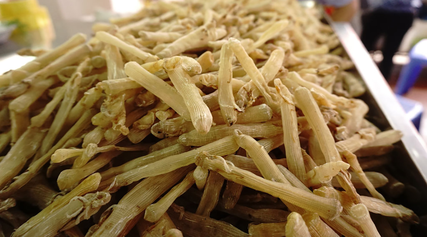 Sá sùng khô - 200k/lạng