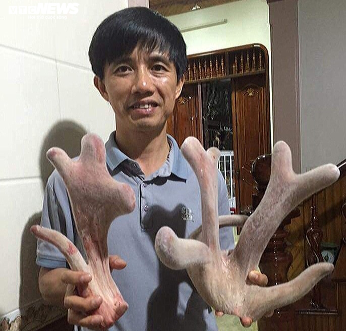 Cách sử dụng, bảo quản