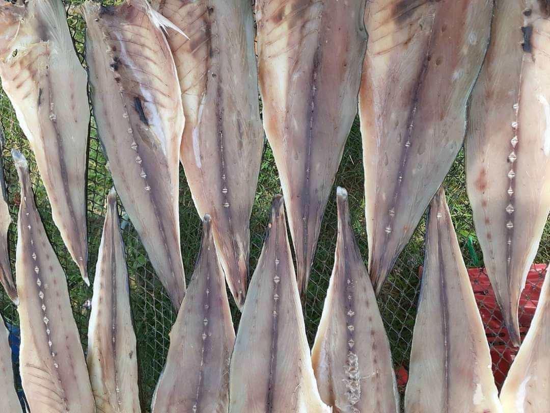 Khô cá Bè Trang - 280k/kg