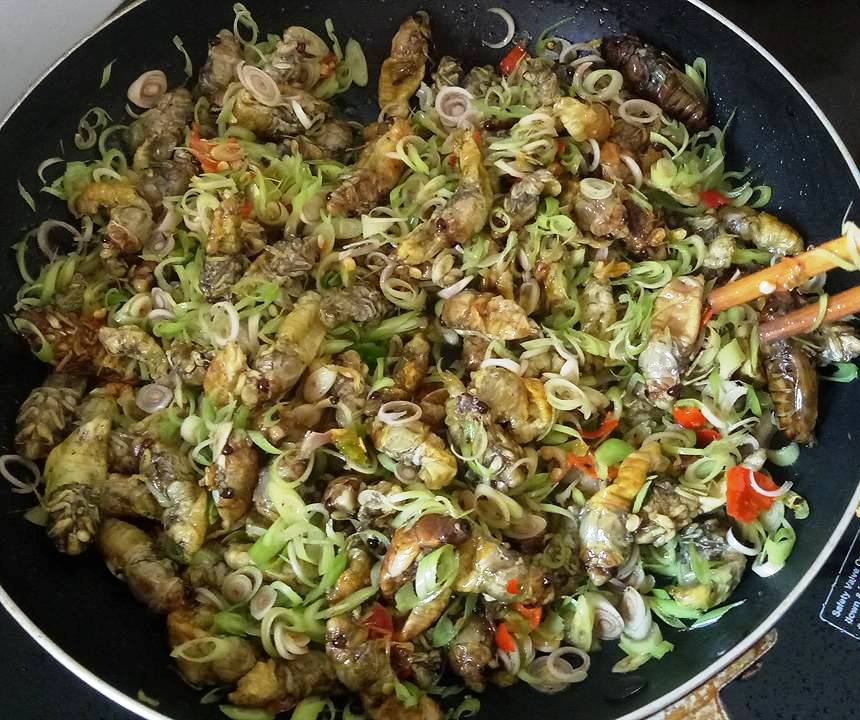 Ve sầu non làm gì ngon?