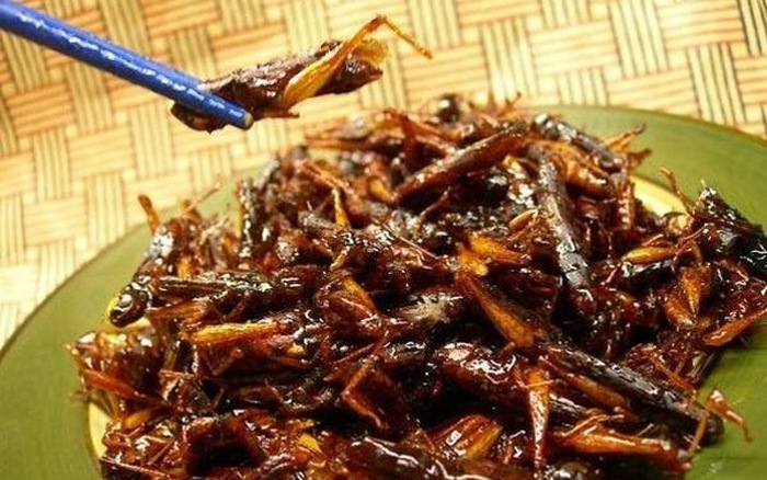 Châu chấu chiên giòn sốt sa tế