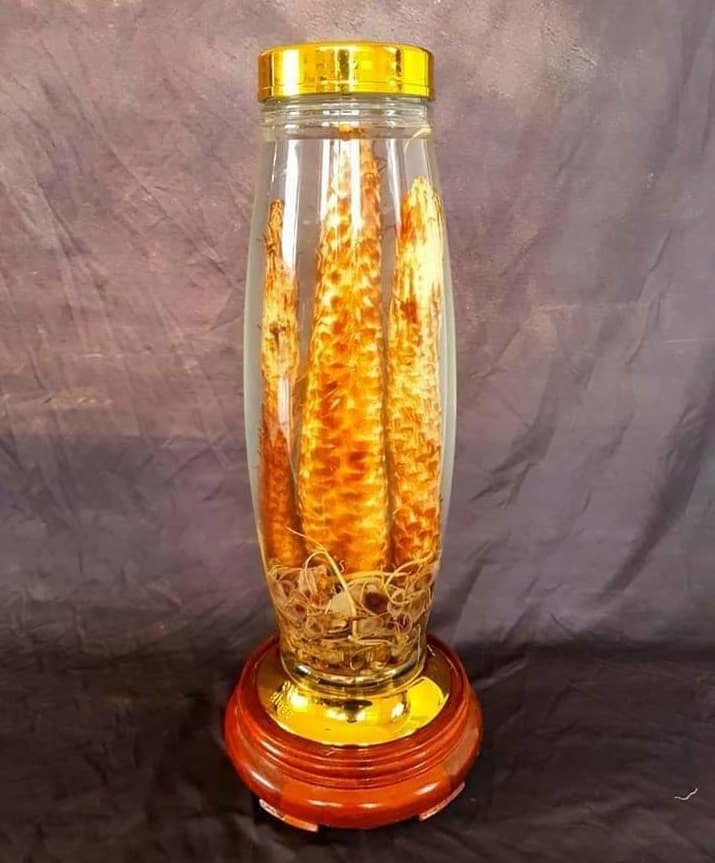 Ngâm rượu nhục thung dung chữa vô sinh ở nam giới 