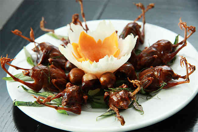 Bài thuốc hay từ thịt chim sẻ