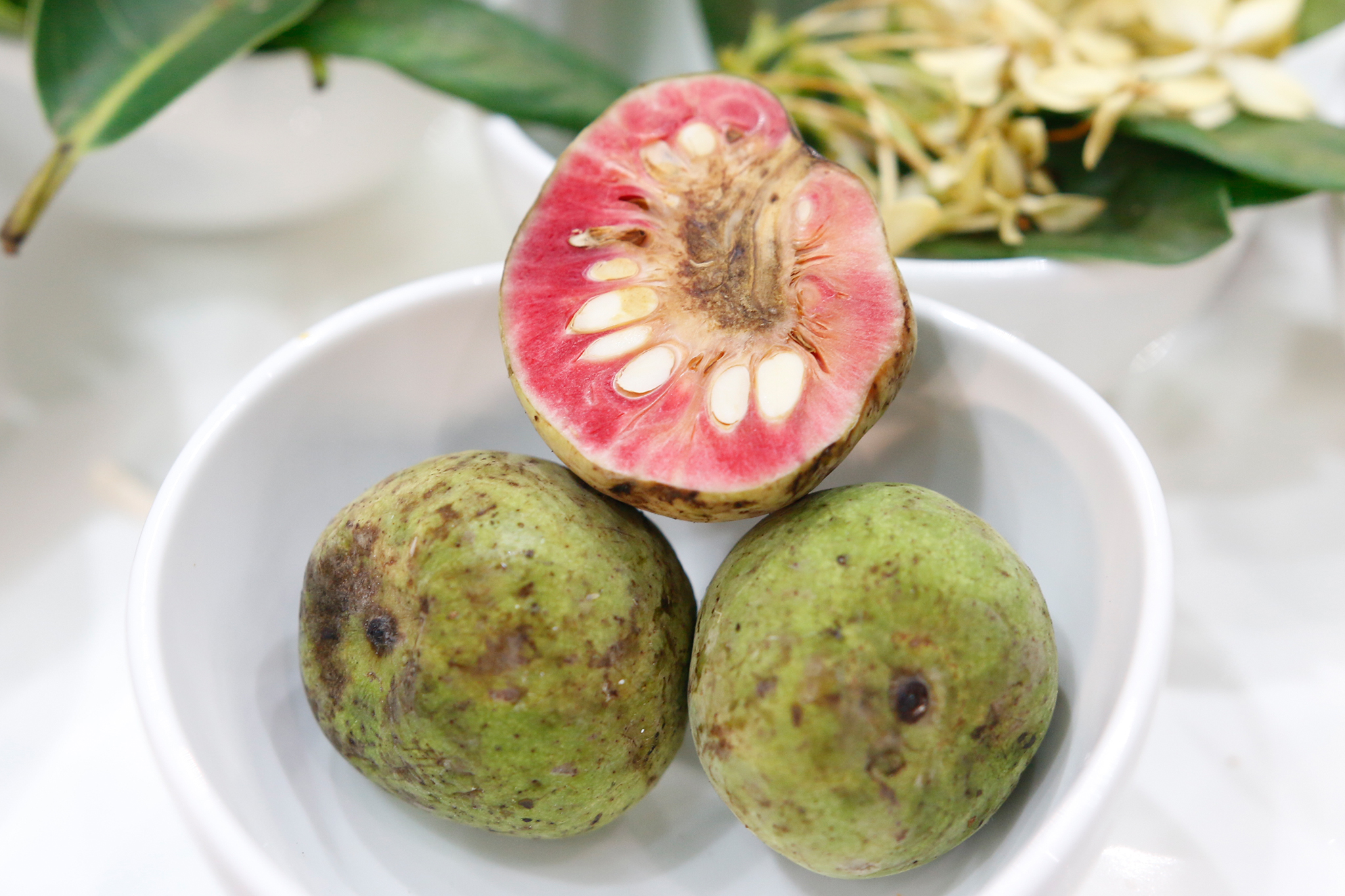 Đôi điều về quả chay bạn nên biết 