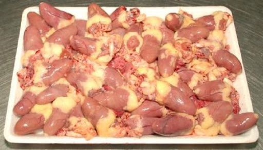 Dinh dưỡng trong tim bồ câu