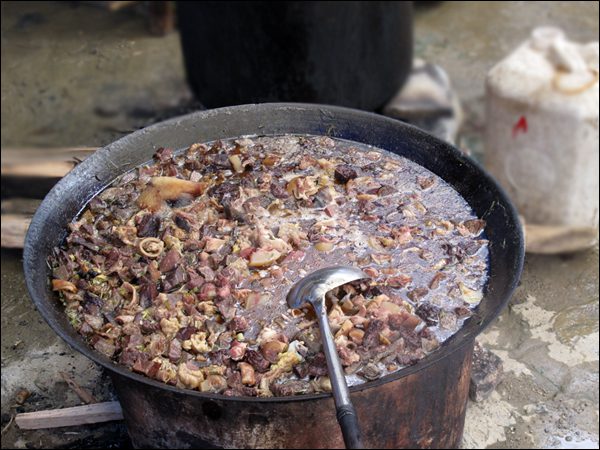 Set thắng cố ngựa ship tận nhà - 600k