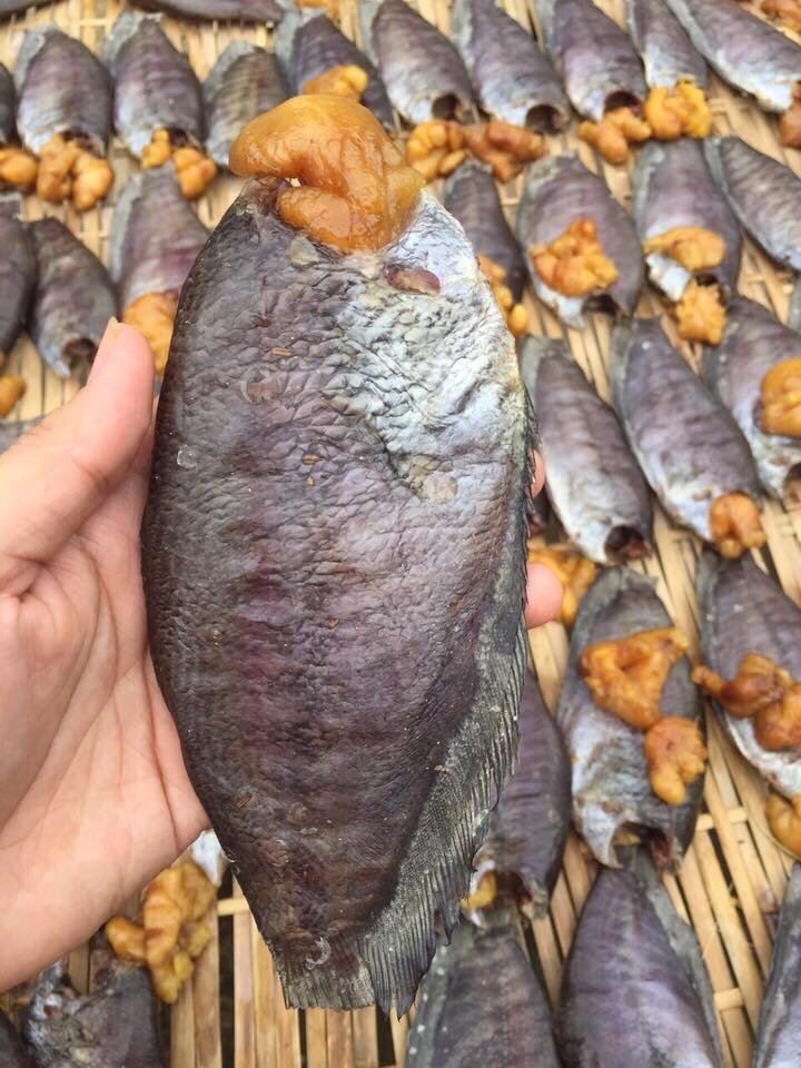 Mua khô cá sặc trứng 1 nắng ở đâu?