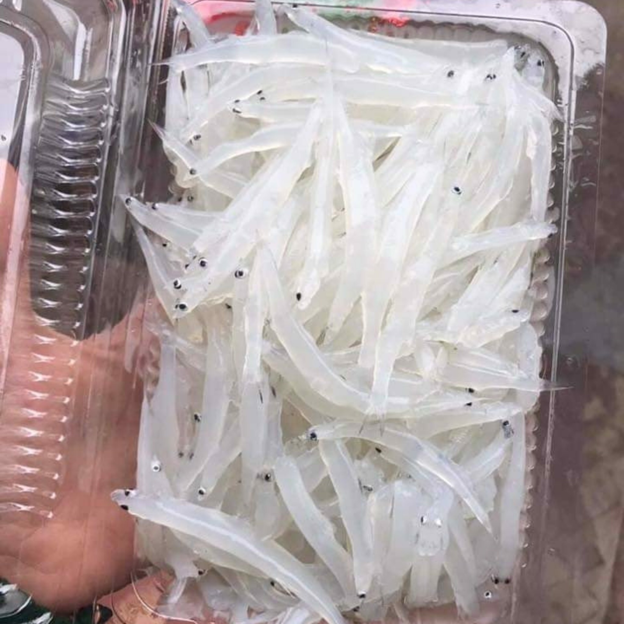 Cá ngần sông Đà