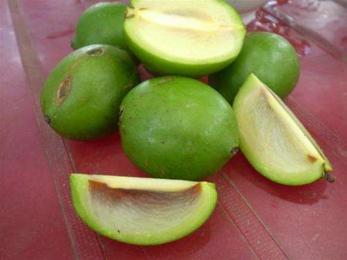 quả bứa tươi1