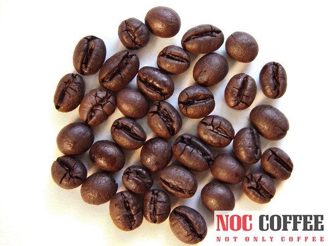 4_Robusta_Culi.jpg