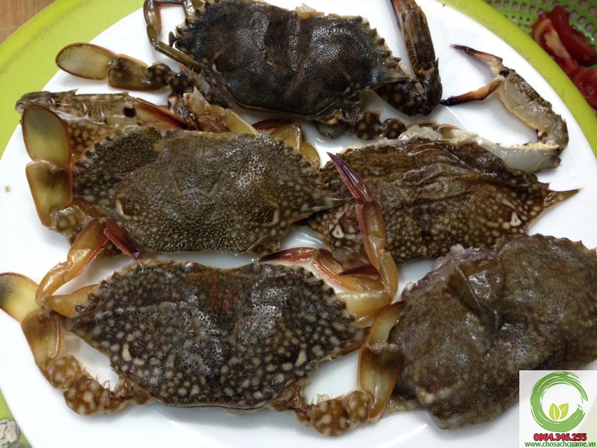 Câu chuyện về ghẹ lột