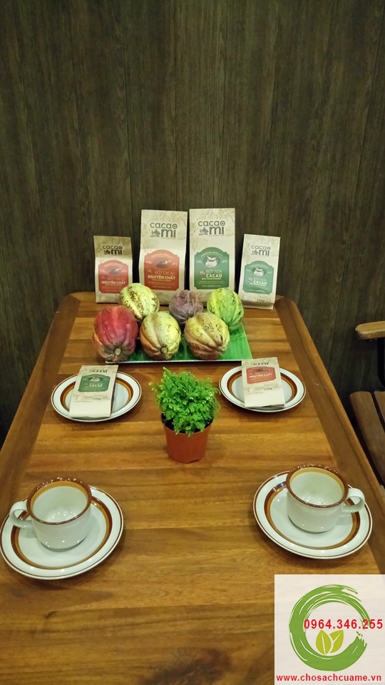 uống cacao hằng ngày vào buổi sáng