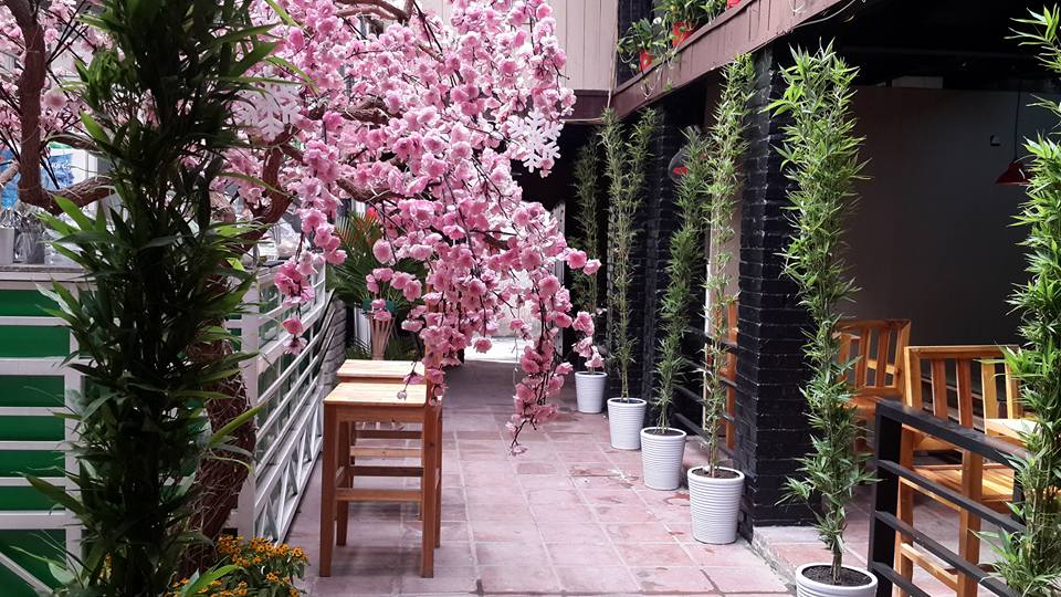 NOC COFFEE miễn phí địa điểm