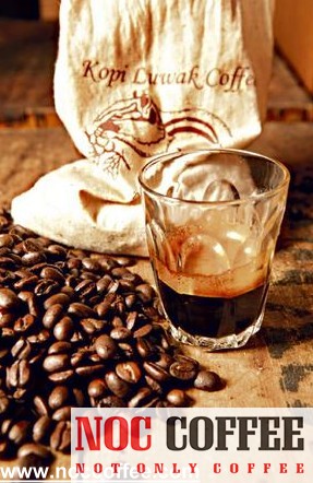 kopi-luwak-coffee.jpg